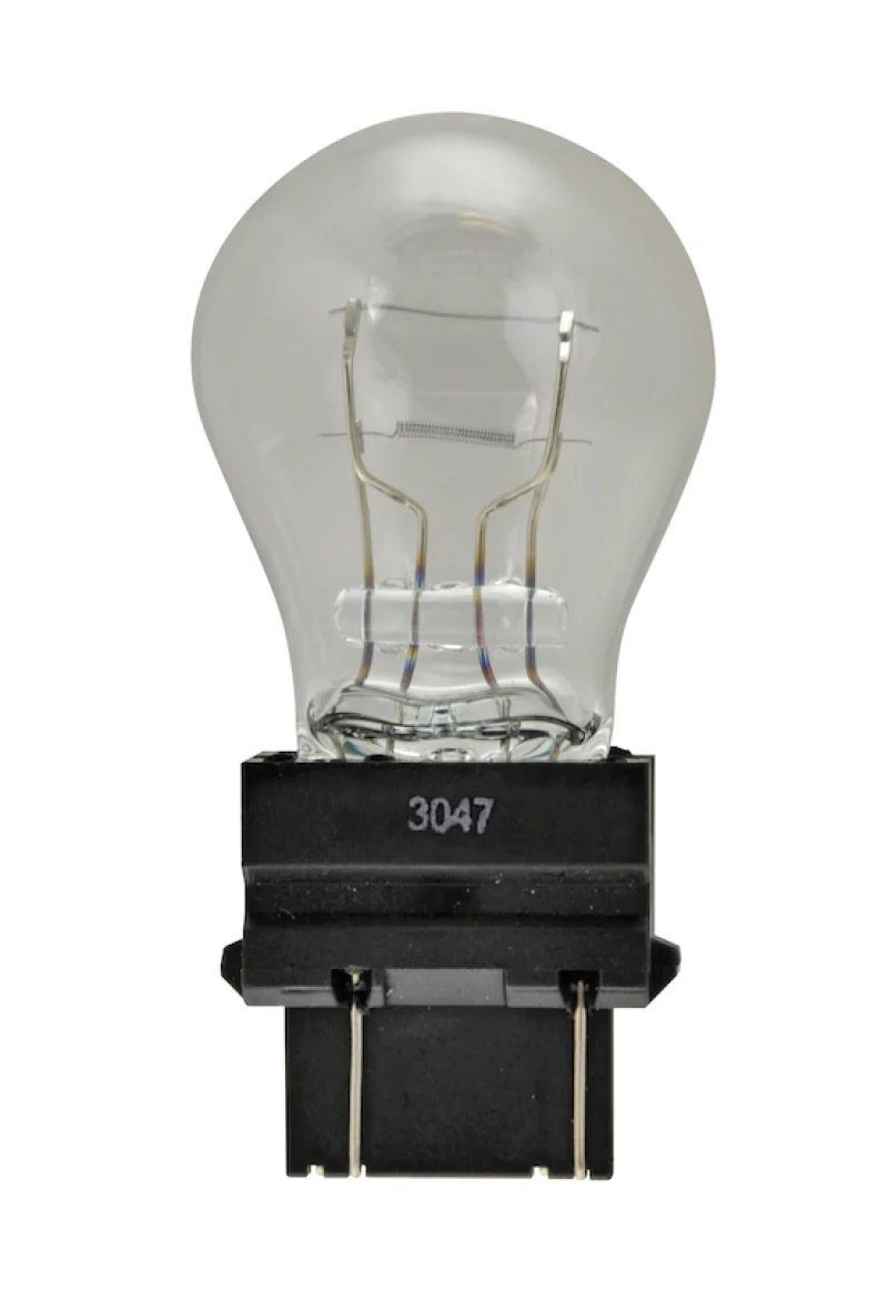 Hella Bulb 3047 12V 21/7W W2.5X16q S8 - Image 3