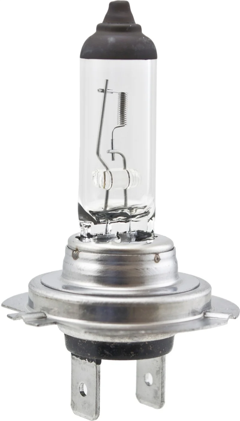 Hella High Wattage Bulb H7 12V 100W PX26d T4.6 - Image 3
