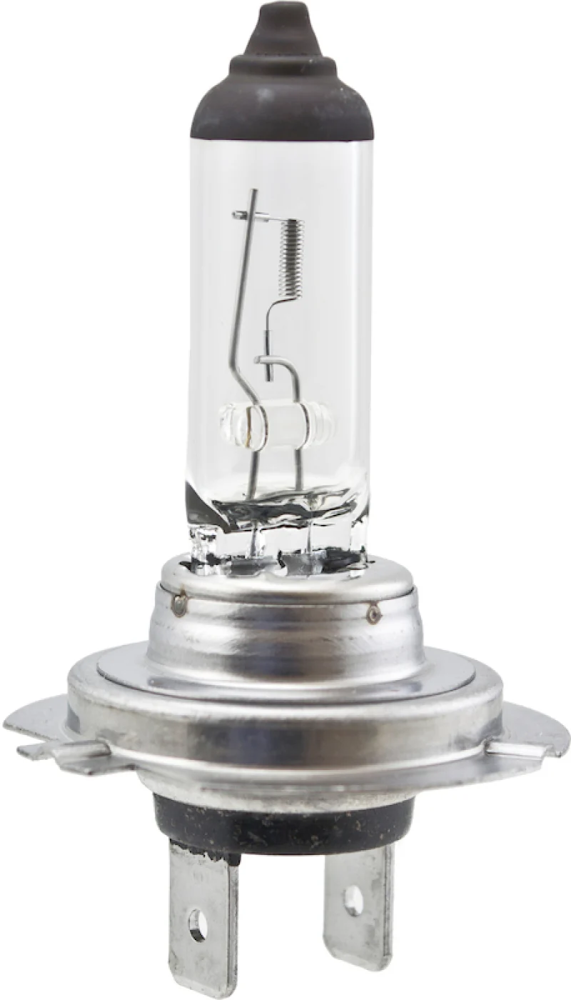 Hella High Wattage Bulb H7 12V 100W PX26d T4.6 - Image 4