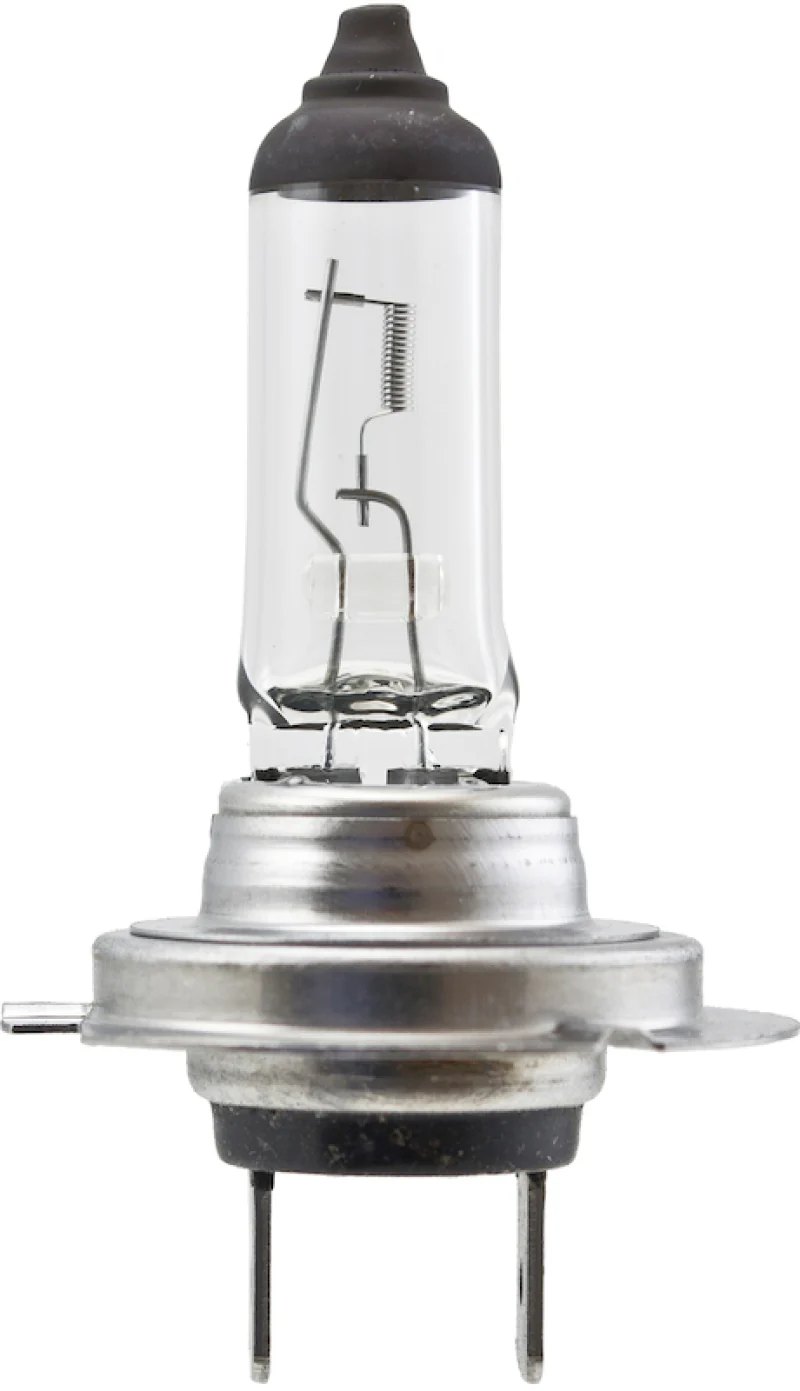 Hella High Wattage Bulb H7 12V 100W PX26d T4.6 - Image 5