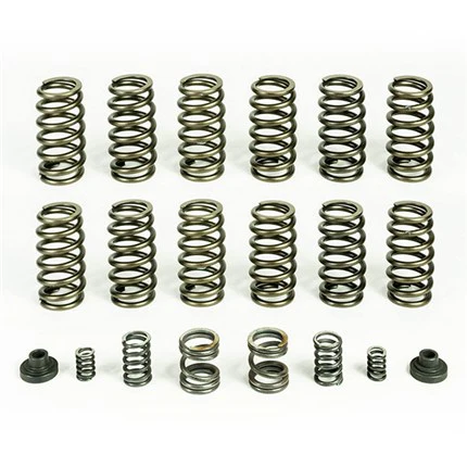 Pacbrake Valve & Governor Spring Kit (12 springs) - 94-98 Dodge Cummins 5.9L 12V